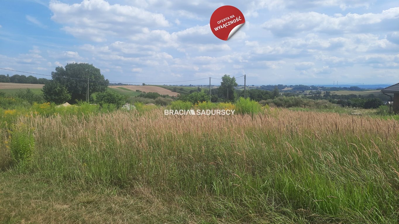 Działka budowlana na sprzedaż Kocmyrzów-Luborzyca, Maciejowice  4 460m2 Foto 18