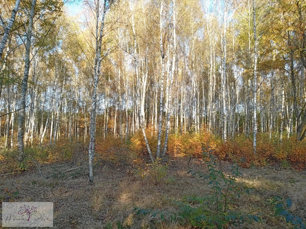 Działka budowlana na sprzedaż Czyżeminek  2 000m2 Foto 2