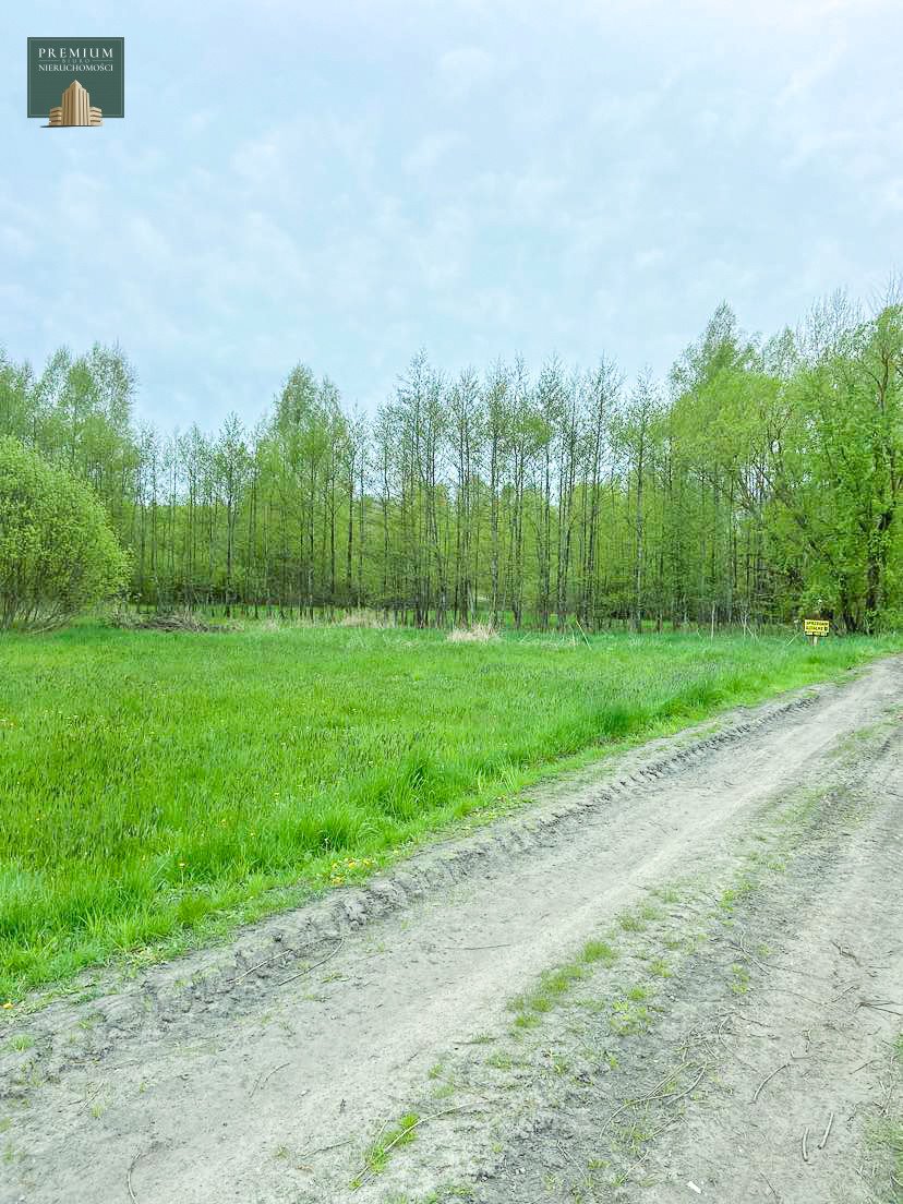 Działka rolna na sprzedaż Czarna Wieś Kościelna  3 800m2 Foto 2