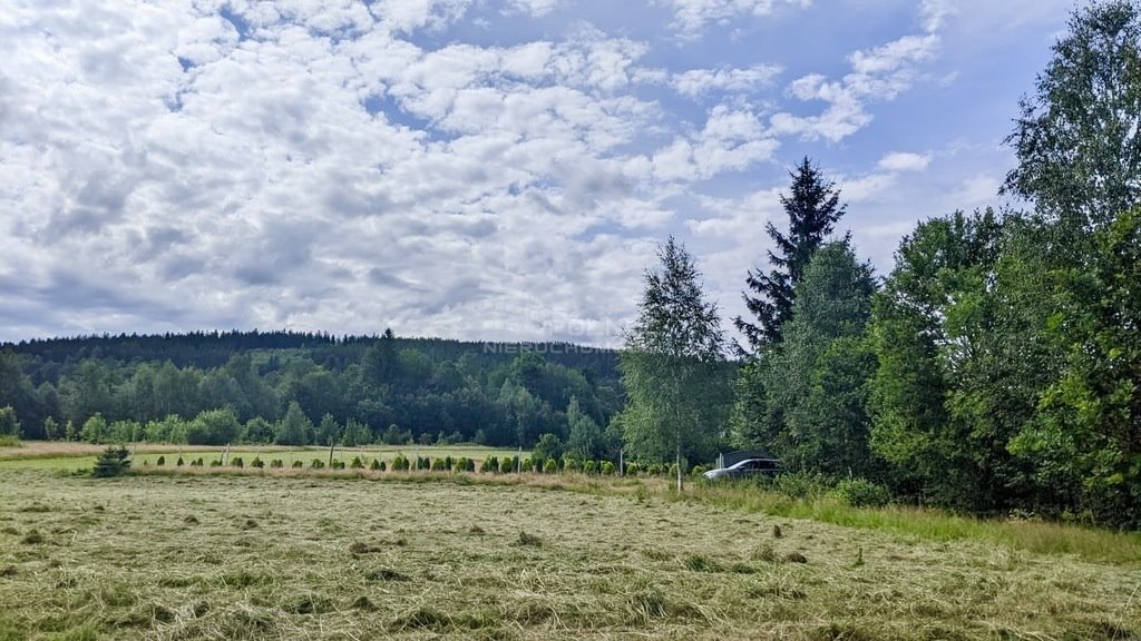 Działka budowlana na sprzedaż Świeradów-Zdrój, Długa  2 000m2 Foto 3