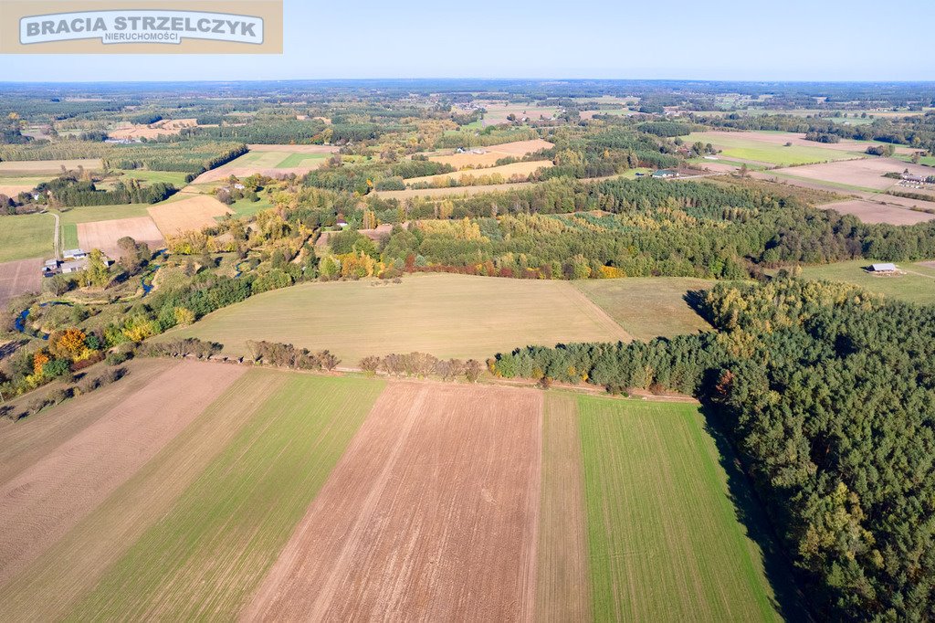 Działka budowlana na sprzedaż Gutarzewo  45 500m2 Foto 7