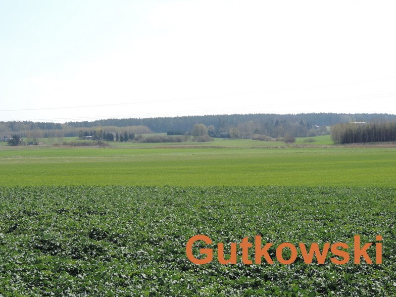 Działka rolna na sprzedaż Dziarny, Gmina Iława  4 140m2 Foto 3