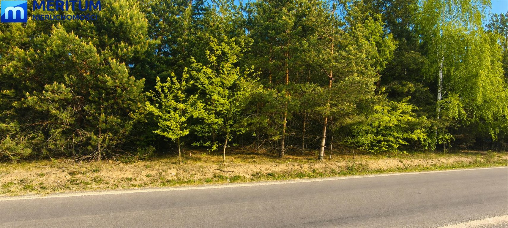 Działka 1500 m2 w spokojnej okolicy z mediami i szybkim dojazdem Bartoszówka, Pogodna  1 500m2 Foto 1