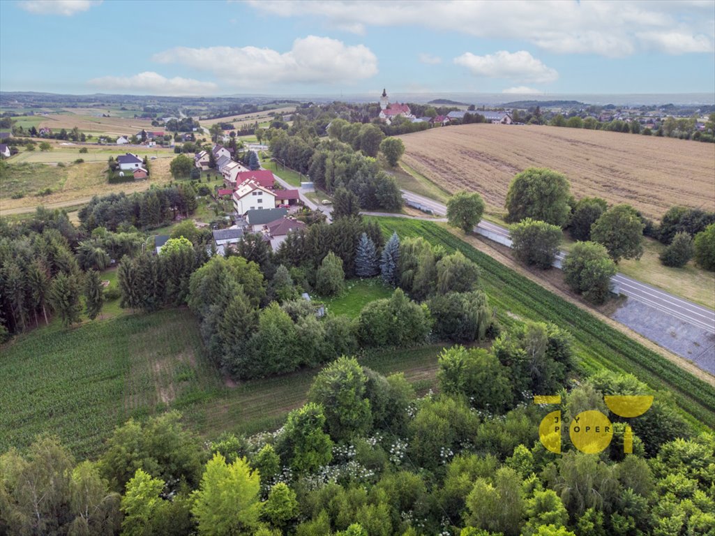 Działka budowlana na sprzedaż Brzezie  9 300m2 Foto 7