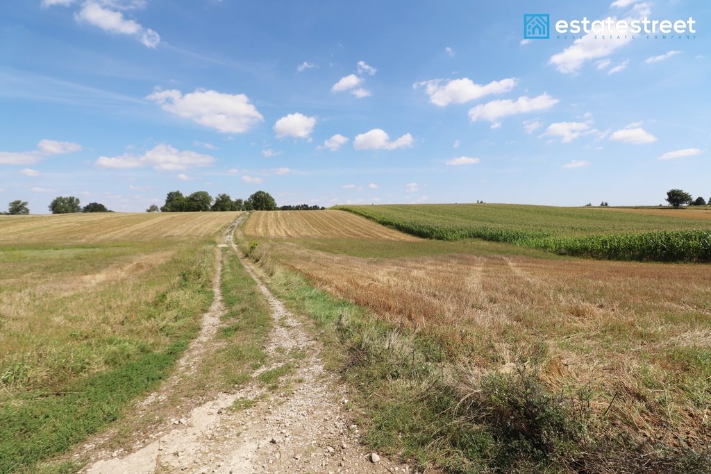 Działka budowlana na sprzedaż Lesieniec  11 206m2 Foto 13