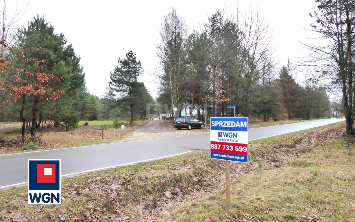 Sprzedam działkę bud.-rolną 9 870 m² z dostępem do drogi Skrajnica, Księżycowa  9 870m2 Foto 1