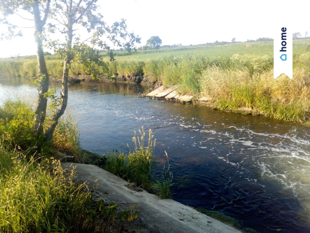 Działka z linią brzegową Noteci i potencjałem na 3 domy Małe Rudy, Północna  6 069m2 Foto 1