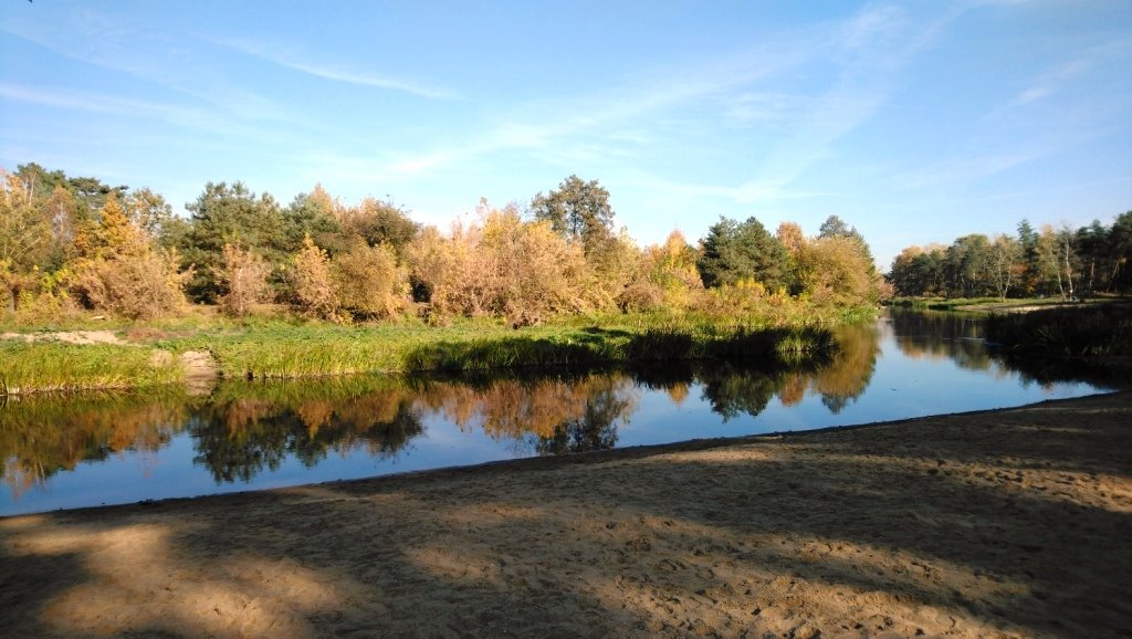 Działka budowlana na sprzedaż Popielżyn-Zawady  4 828m2 Foto 1