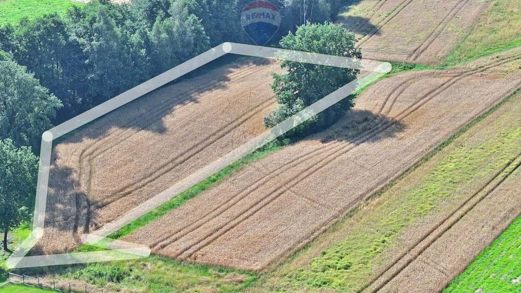 Działka rolna na sprzedaż Czaniec  4 082m2 Foto 2