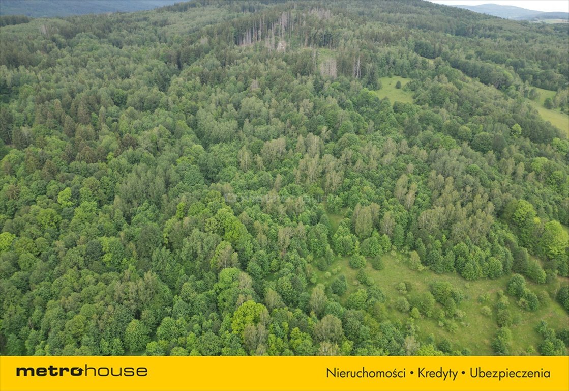 Działka leśna na sprzedaż Piechowice, Piastów  270 000m2 Foto 3