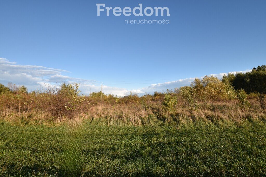 Działka inna na sprzedaż Broniów  6 500m2 Foto 7