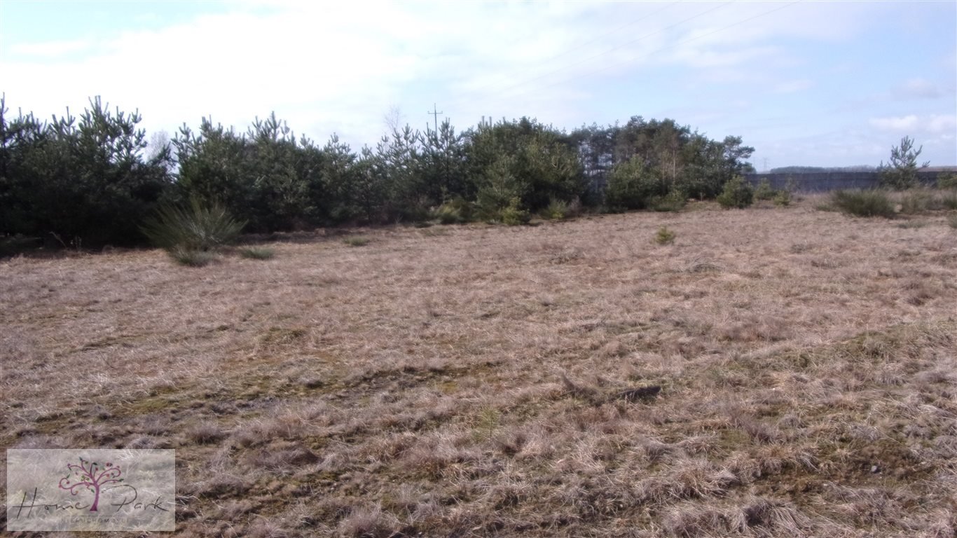 Działka budowlana na sprzedaż Borowa  3 800m2 Foto 1