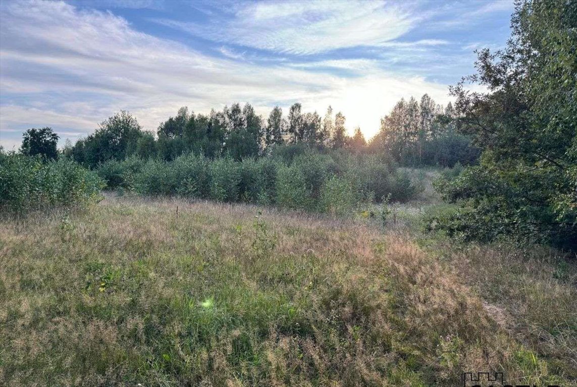 Działka budowlana na sprzedaż Chmielno  1 527m2 Foto 3