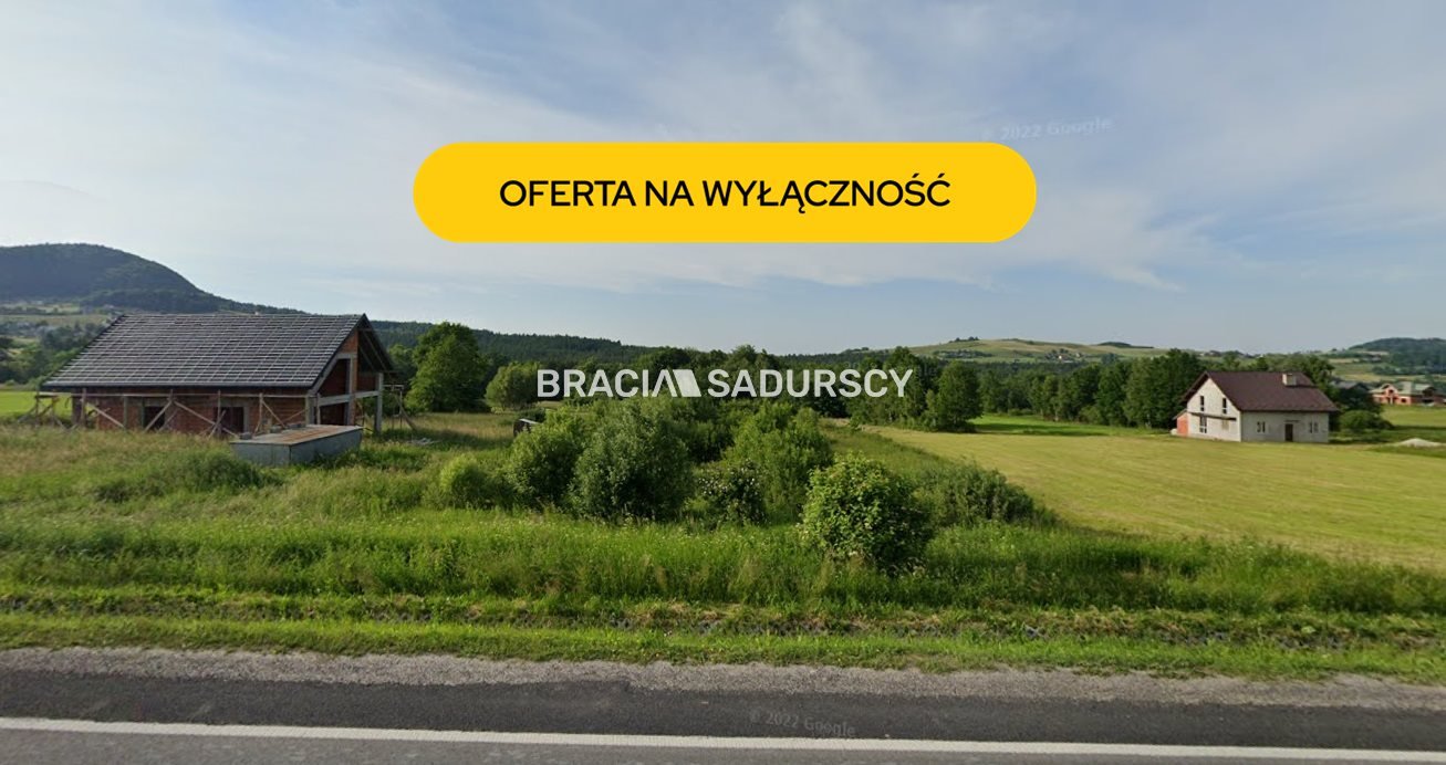 Zapraszam do zakupu działki 65 ar w Ptaszkowej z dostępem do drogi krajowej Ptaszkowa  6 493m2 Foto 1