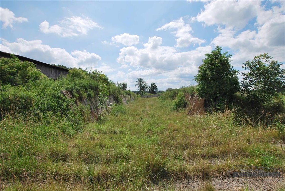 Lokal użytkowy na sprzedaż Brzeźnica  1 759m2 Foto 7