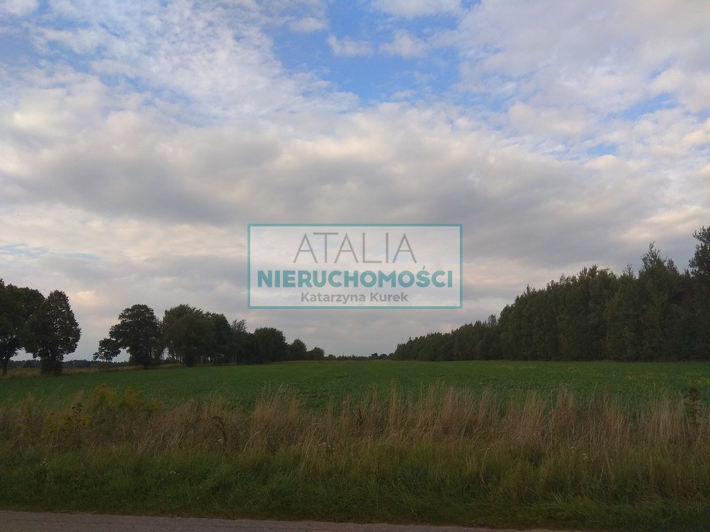 Zapraszam do zakupu działki 3000 m² z warunkami zabudowy Zator  3 000m2 Foto 1