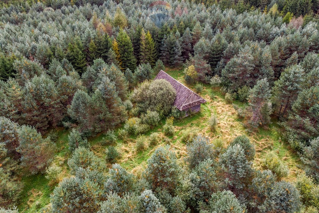 Działka rolna na sprzedaż Jabłonka, Leśna  20 000m2 Foto 20