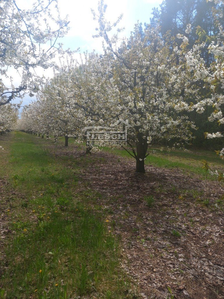 Działka rolna na sprzedaż Załęże Duże  7 300m2 Foto 10