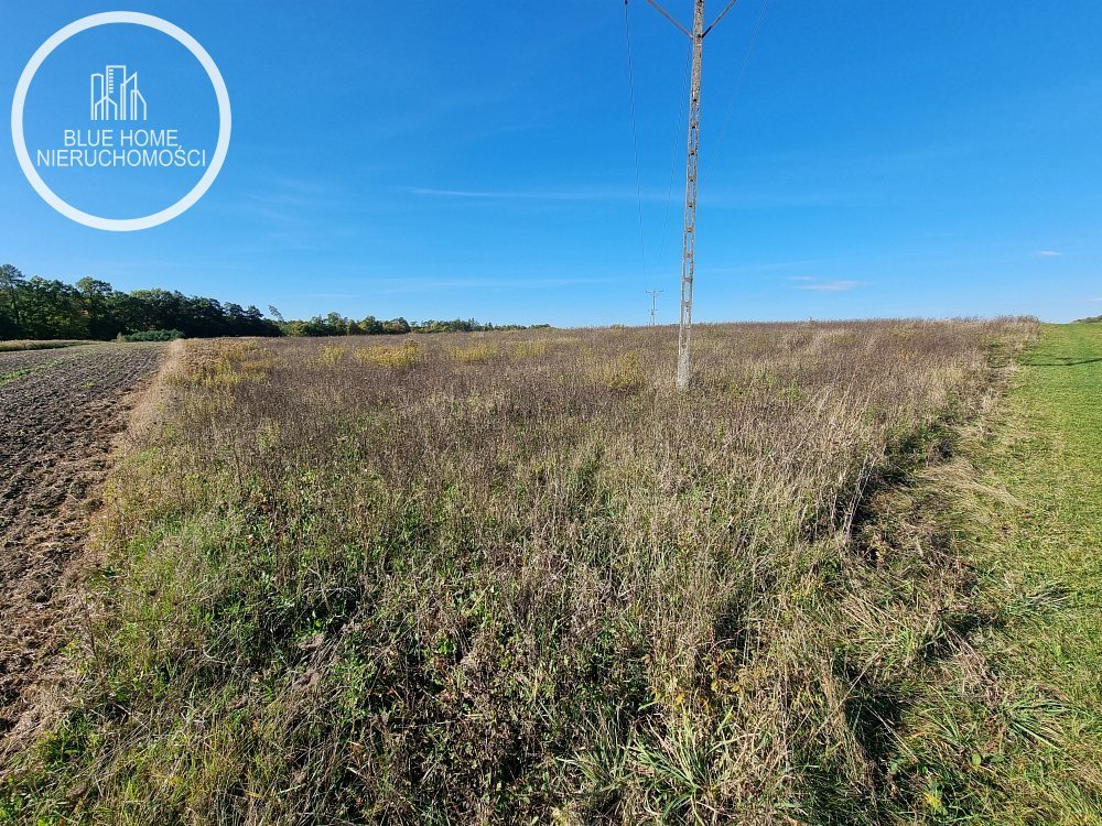 Działka rolna na sprzedaż Zalesie Krasieńskie  31 300m2 Foto 4