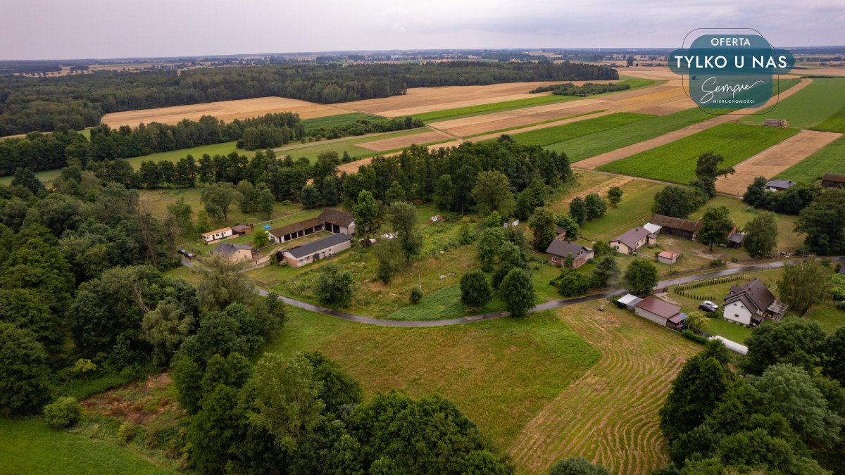 Działka budowlana na sprzedaż Magnusy  3 713m2 Foto 9