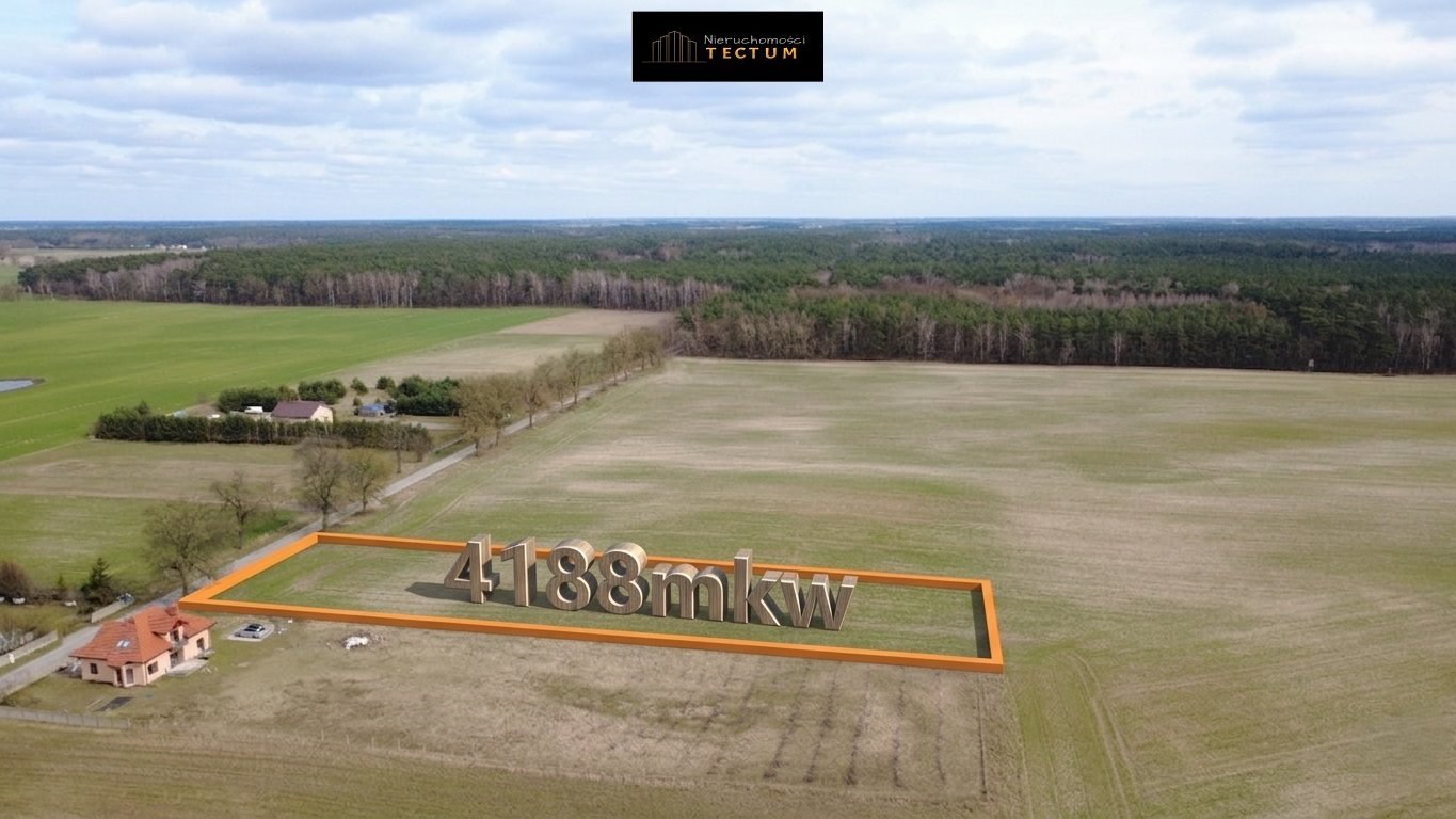 Działka 4188 m² z warunkami zabudowy, media, asfalt Przysieka  4 188m2 Foto 1