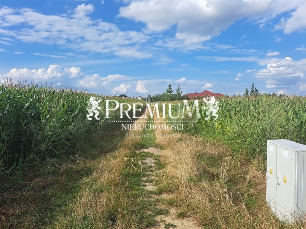 Działka 3030 m² z dużym potencjałem zabudowy Brzezina  3 030m2 Foto 1