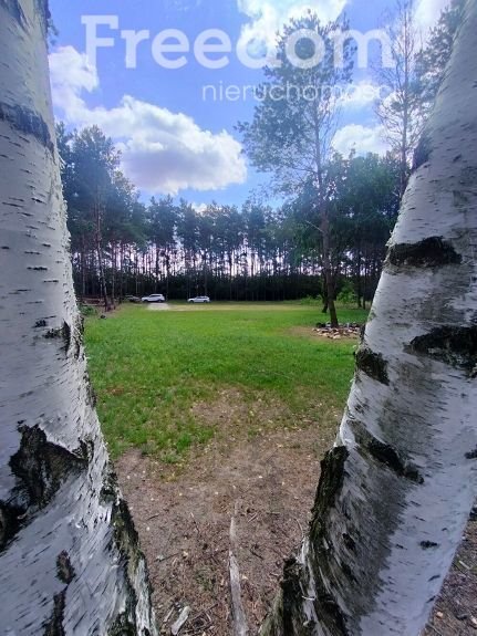 Działka budowlana na sprzedaż Osiek  1 623m2 Foto 7