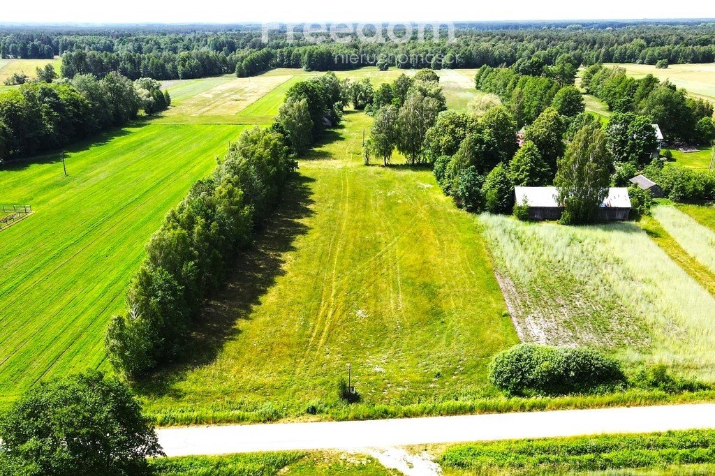 Działka budowlana na sprzedaż Maksymilianów  3 000m2 Foto 5