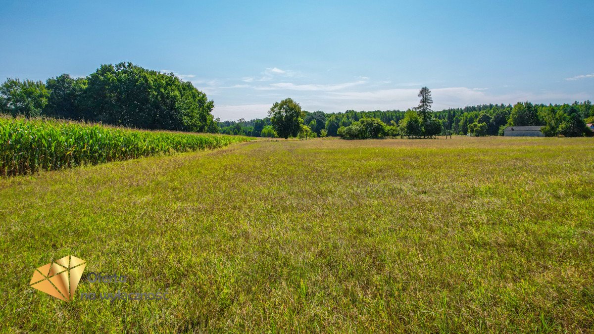 Działka budowlana na sprzedaż Kaznów-Kolonia  1 329m2 Foto 1