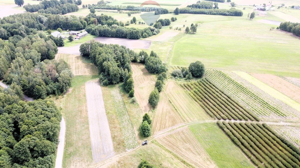 Działka budowlana na sprzedaż Ostrownica  4 500m2 Foto 3