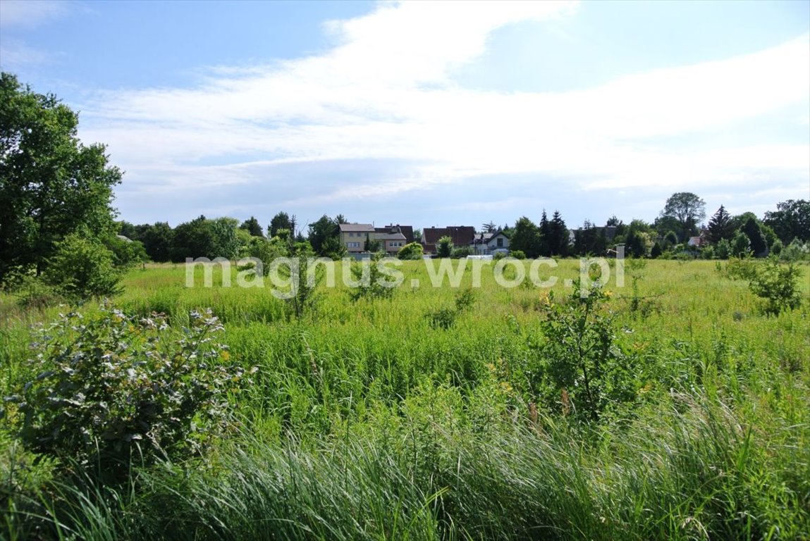 Działka rolna na sprzedaż Wrocław, Psie Pole, Kowale, boczna Lechitów  4 032m2 Foto 10