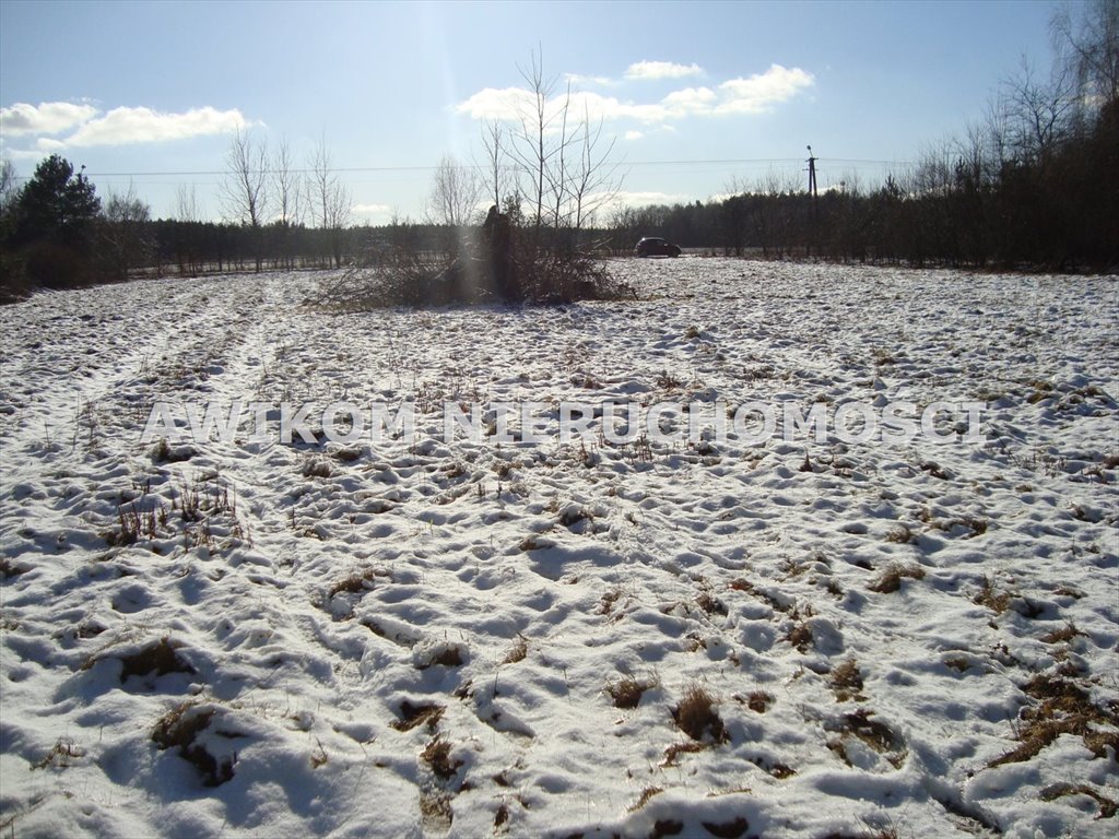 Działka budowlana na sprzedaż Petrykozy  6 800m2 Foto 4