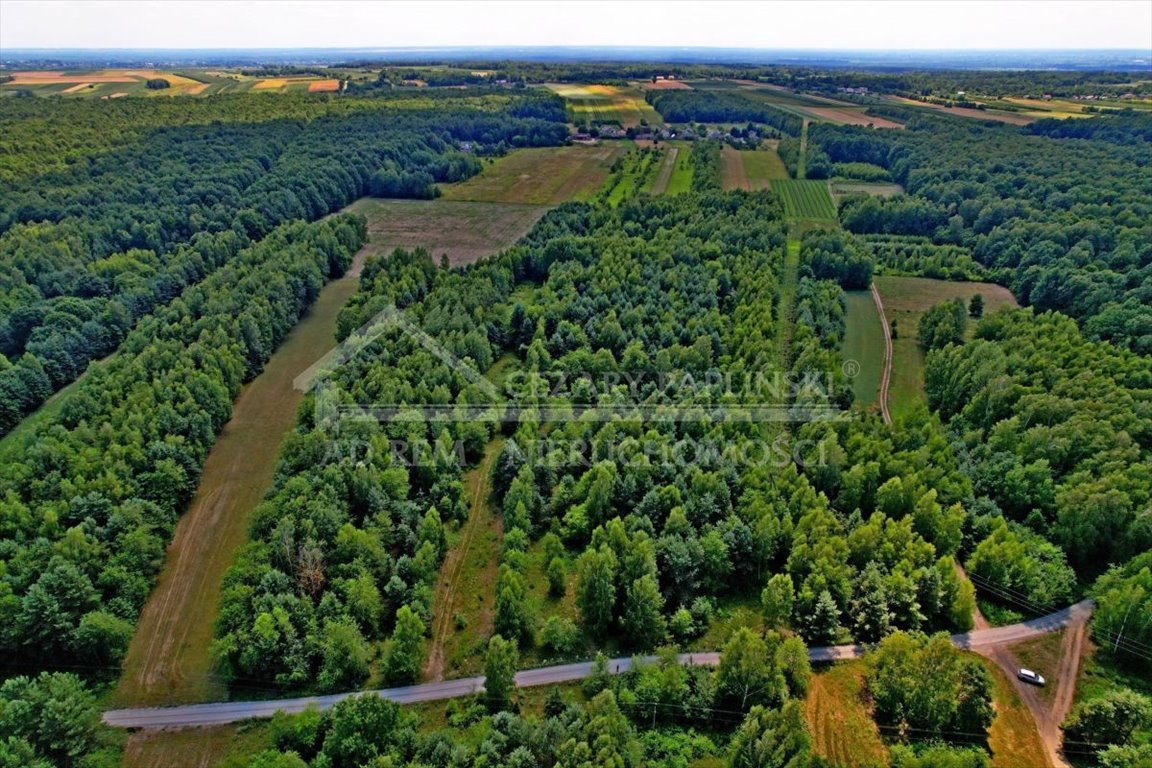 Działka rolna na sprzedaż Uściąż, Uściąż  35 000m2 Foto 4