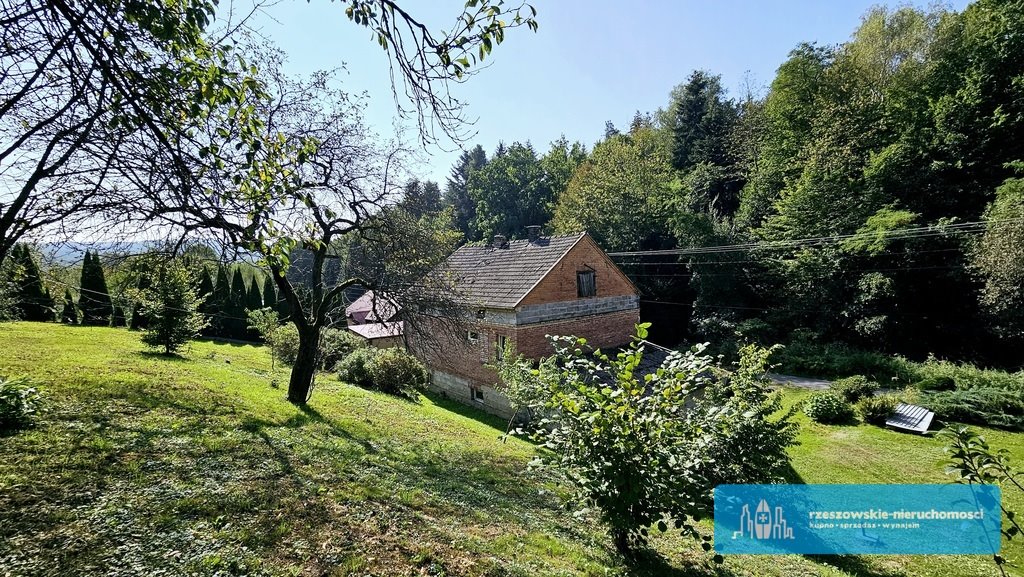 Działka budowlana na sprzedaż Glinik Zaborowski  6 000m2 Foto 6