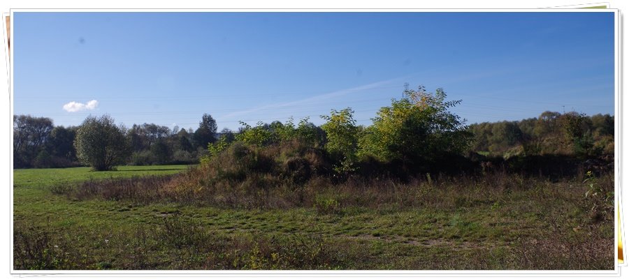 Działka rolna na sprzedaż Wejherowo, Śmiechowo, Fenikowskiego  8 970m2 Foto 3