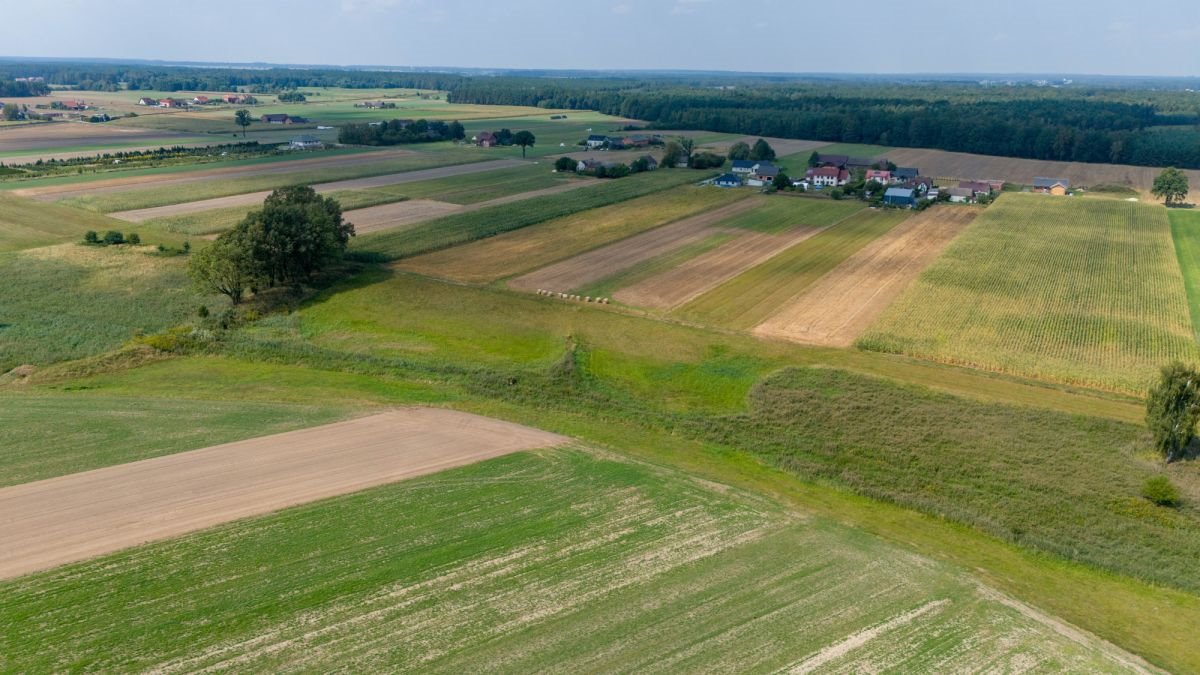 Działka rolna na sprzedaż Sieraków Śląski, Wyzwolenia  6 792m2 Foto 3