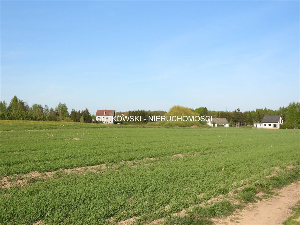 Działka siedliskowa 3016 m² w Szeplerzyźnie, blisko jeziora Radomek, Szeplerzyzna  3 016m2 Foto 1