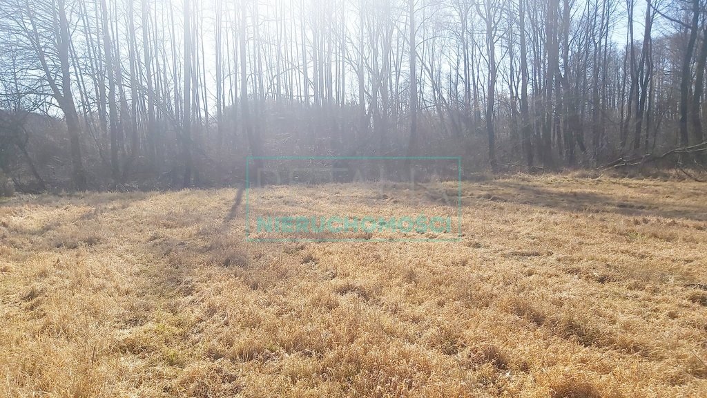 Działka 1237 m² w zielonej okolicy z mediami w drodze Ciepłe  1 237m2 Foto 1