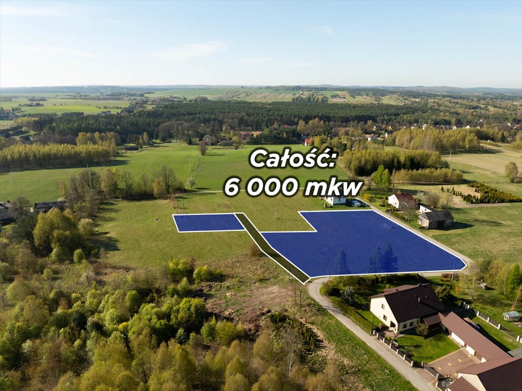 Przestronna działka 6000 m² z mediami i pięknymi widokami Domaniewice  6 000m2 Foto 1