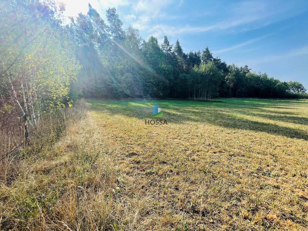 Działka budowlana na sprzedaż Szymany  5 720m2 Foto 5