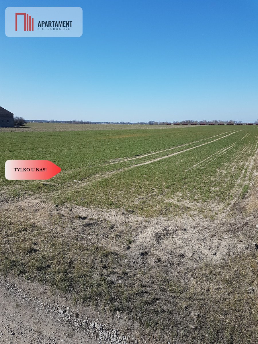 Polecam działkę rolną 3688 m² z dojazdem asfaltowym w Trzebieniu Trzebień  3 688m2 Foto 1