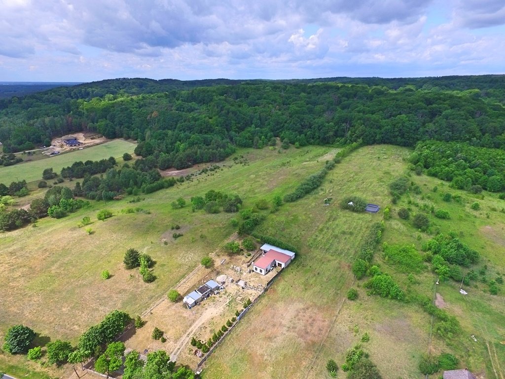 Działka budowlana na sprzedaż Bogdaniec  39 100m2 Foto 4