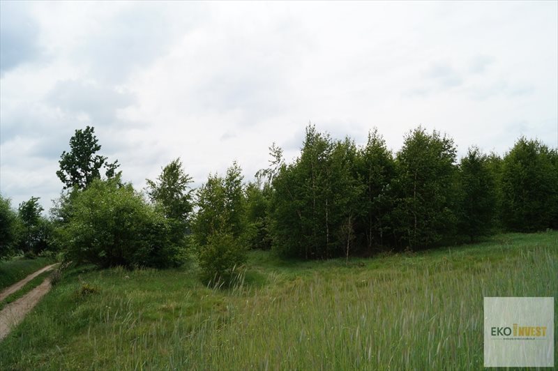 Działka budowlana na sprzedaż Winnica 1 500m2 Foto 1 Działka budowlana na sprzedaż Winnica 1 500m2 Foto 1