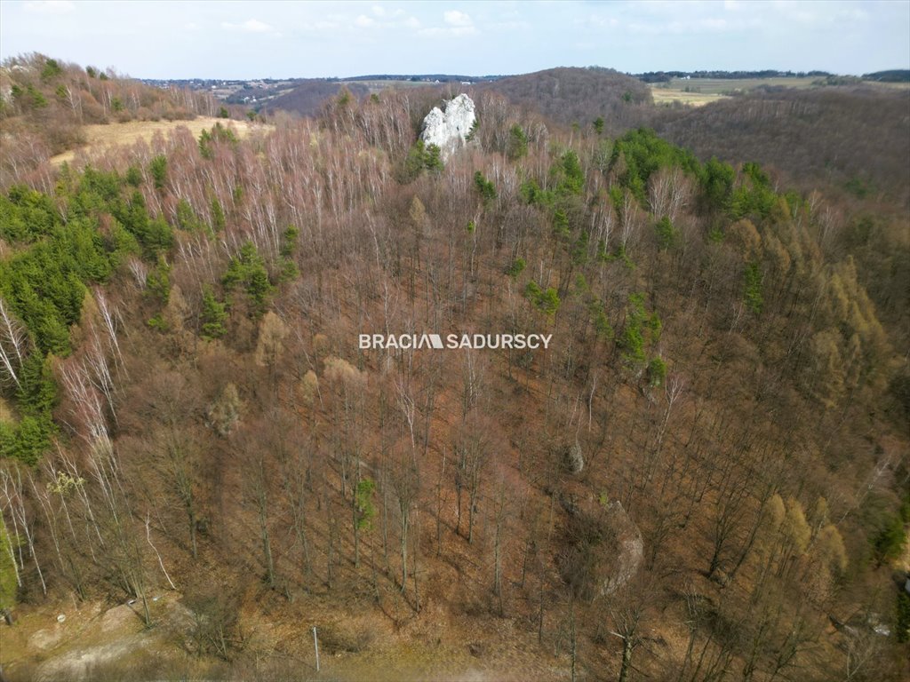 Las w Jerzmanowicach 10,71 ar - media, blisko Ojcowskiego Parku Jerzmanowice, Zachodnia  1 071m2 Foto 1
