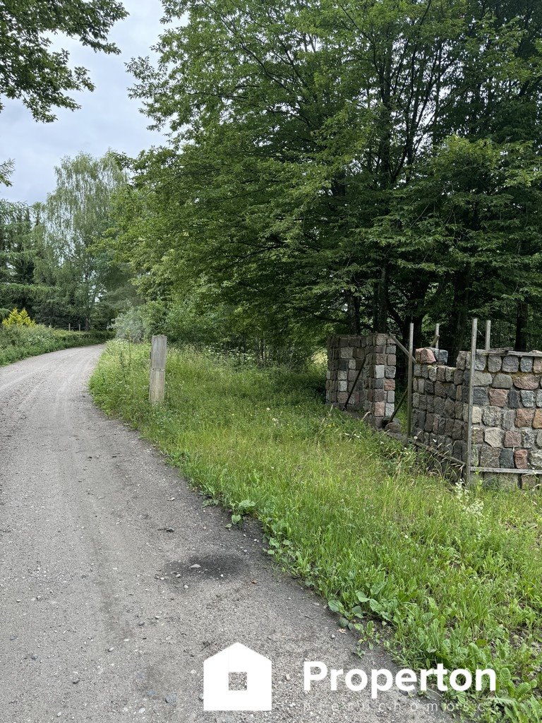 Działka budowlana na sprzedaż Przykop  5 301m2 Foto 5