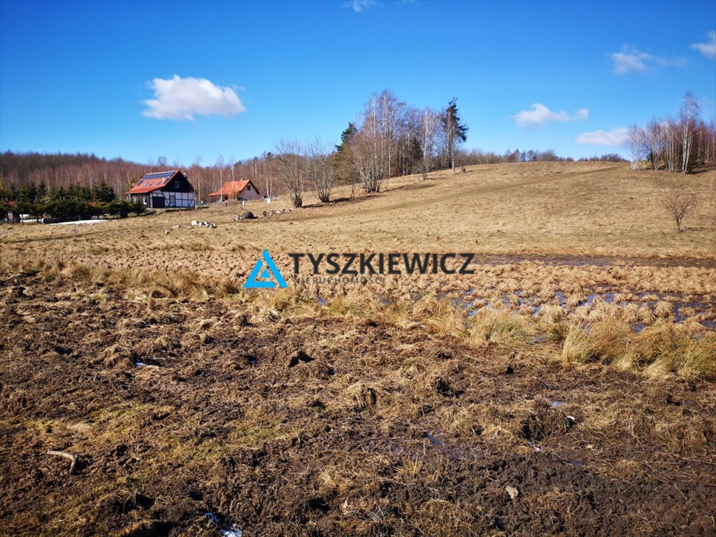 Działka budowlana na sprzedaż Gromadzin  2 907m2 Foto 1