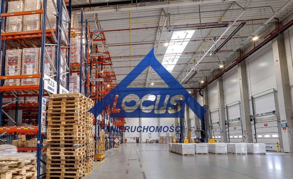 Magazyn 5606 m² z biurem, wysoki sufit i nośność 6T.: Sękocin