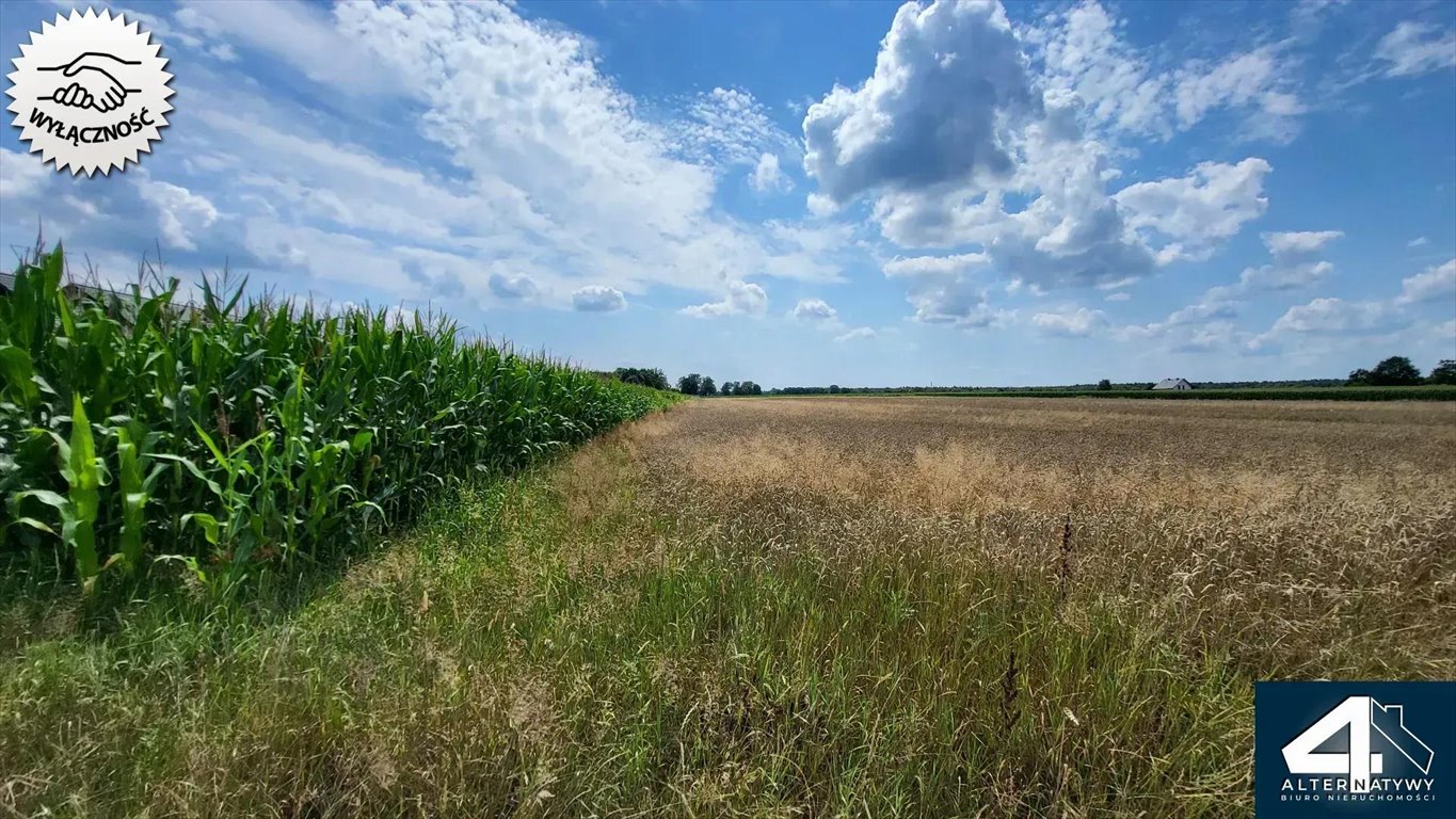 Działka budowlana na sprzedaż Bojszowy, Borowa 30  2 002m2 Foto 1