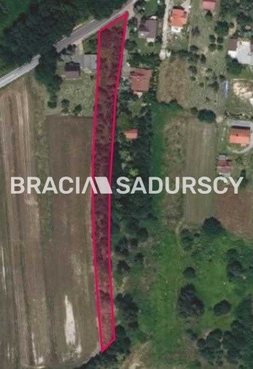 Działka 3395m2 pod zabudowę jednorodzinną - media i spokojna okolica Nowa Wieś Szlachecka, Lisiecka  3 395m2 Foto 1