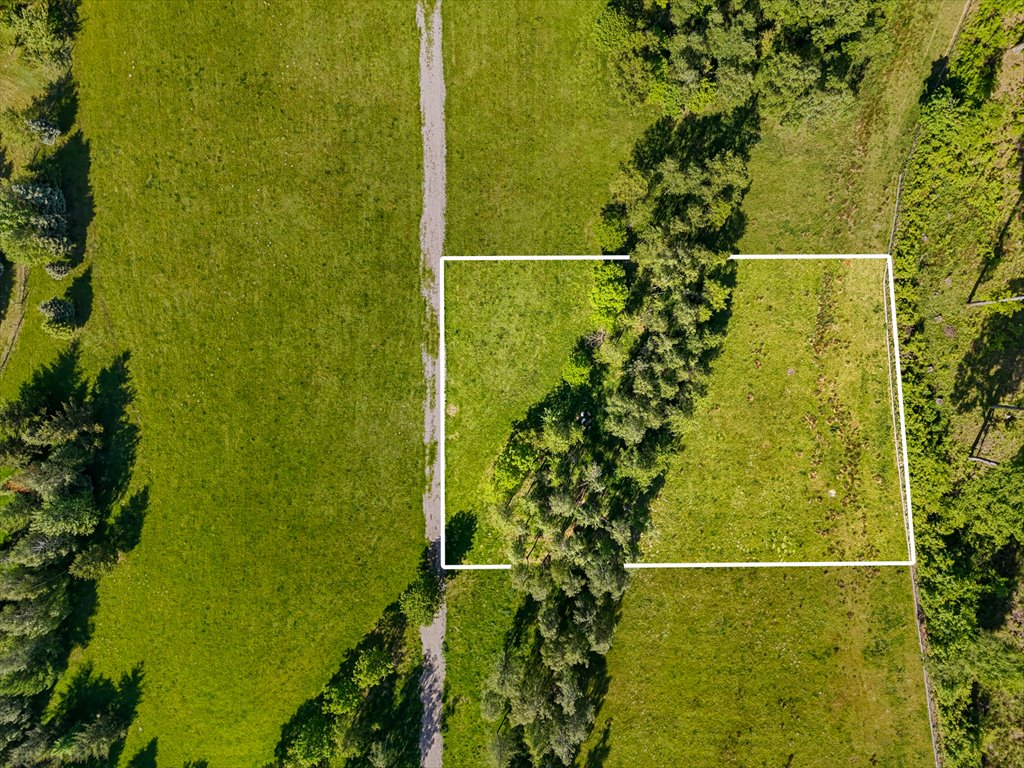 Działka siedliskowa na sprzedaż Słuszewo  3 450m2 Foto 5